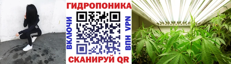 Что такое Буйнакск Марихуана  Псилоцибиновые грибы  ГАШИШ  Alpha-PVP 