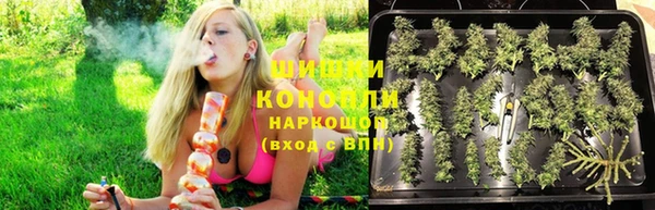 сатива Армянск