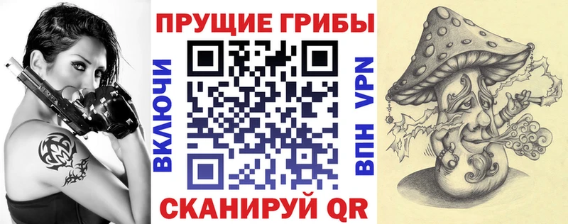 Псилоцибиновые грибы Psilocybe  Буйнакск 